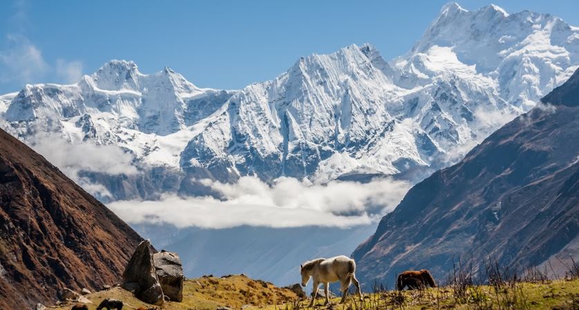 Manaslu Circuit Trek