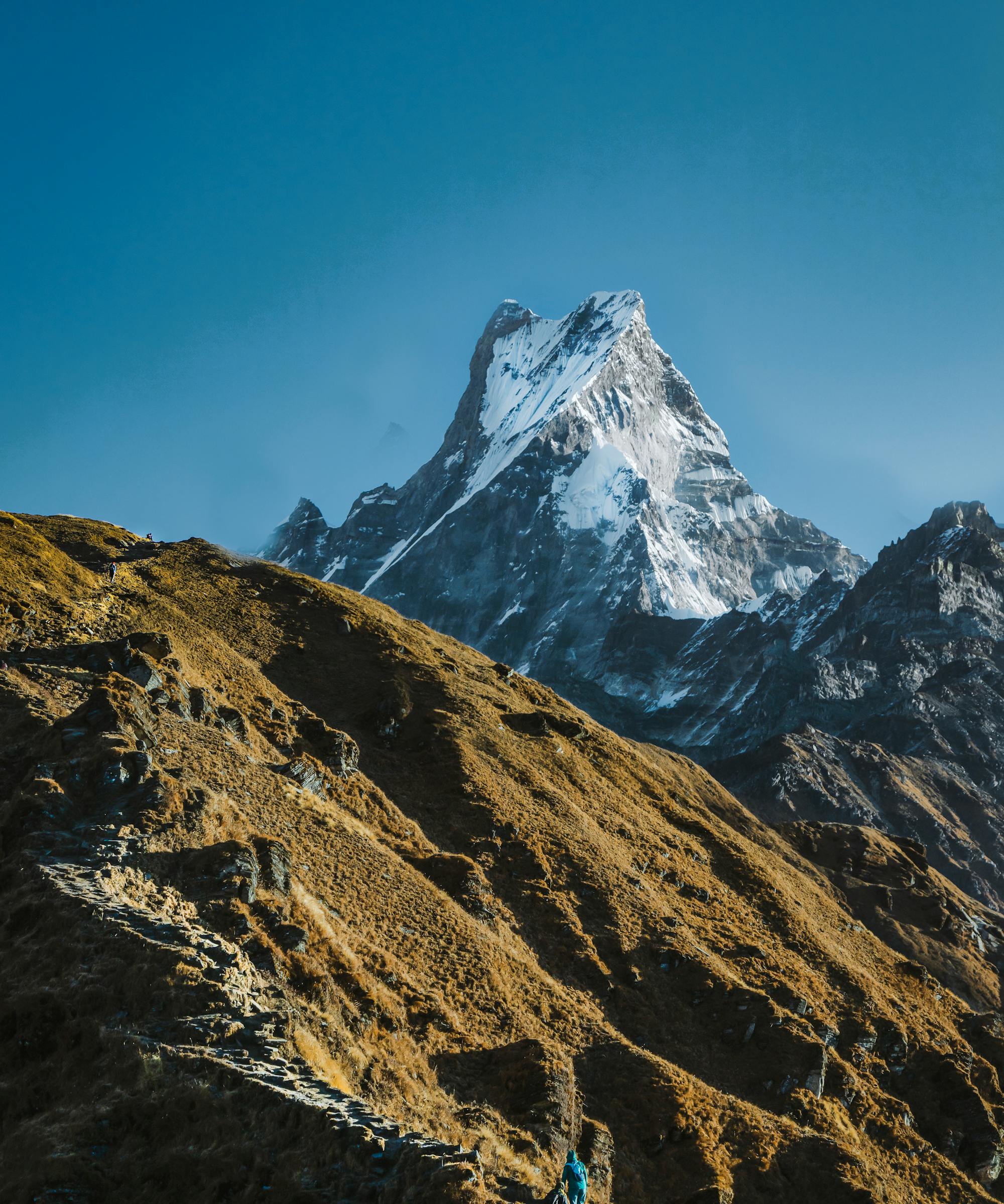 Mardi Himal Base Camp Trek
